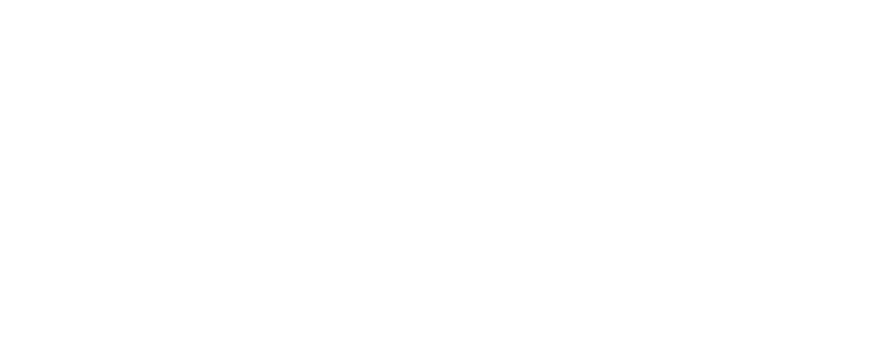 Roche Bobois